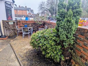 Photo 2- click for photo gallery